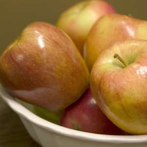 Honeycrisp Apple