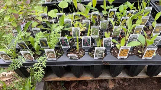 Sandy Soils Garden Kit
