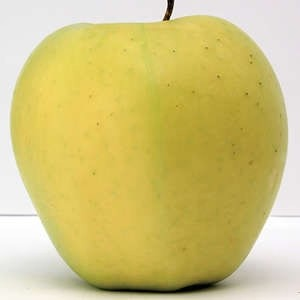 Yellow Transparent Apple